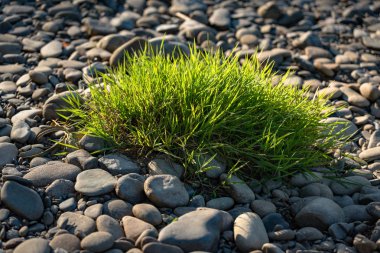 Gün batımında bir dağ nehrinde