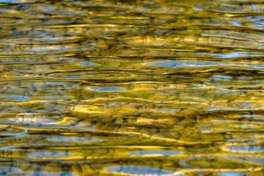 Gün batımında bir dağ nehrinde yansıma