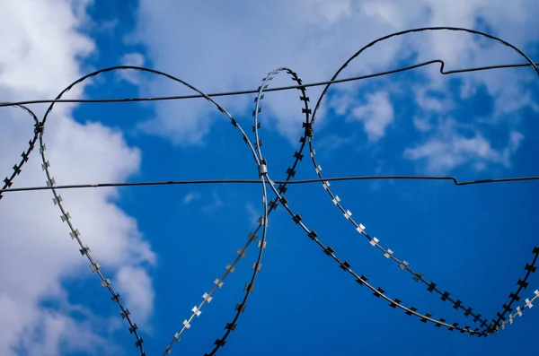 Barbed wire against the sky
