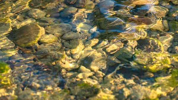 Reflexão Rio Montanha Pôr Sol — Fotografia de Stock