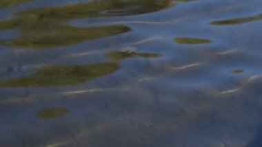 Dağ nehrinde akşam