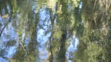 Dağ nehrinde akşam