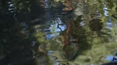 Dağ nehrinde akşam