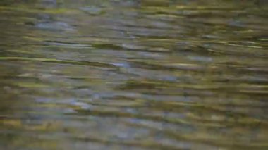 Dağ nehrinde akşam