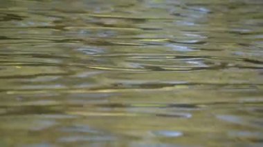 Dağ nehrinde akşam