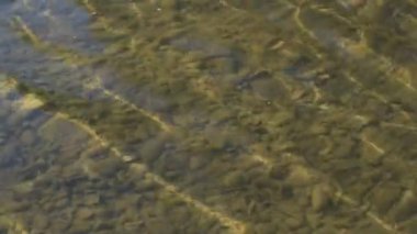 Dağ nehrinde akşam