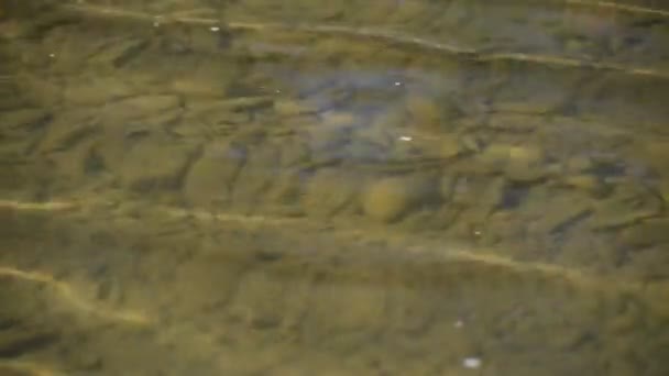 Soirée à la rivière de montagne 