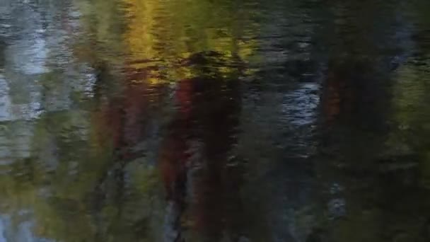 山の川での夕べ — ストック動画