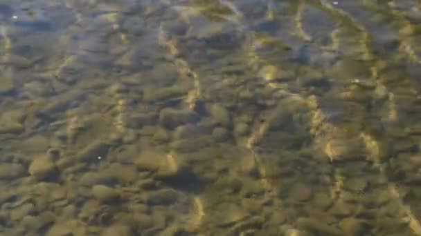 Soirée à la rivière de montagne 