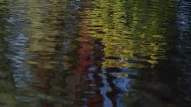 Soirée à la rivière de montagne 