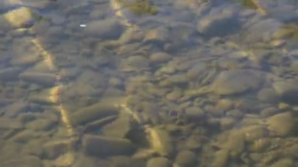 Soirée à la rivière de montagne 