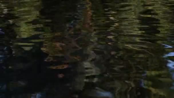 山河的晚上 — 图库视频影像