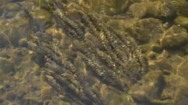 Soirée à la rivière de montagne 