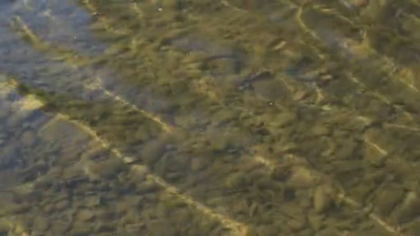 Soirée à la rivière de montagne 