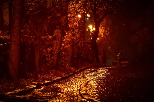 Пейзаж Называется Ужгородский Вечер — стоковое фото