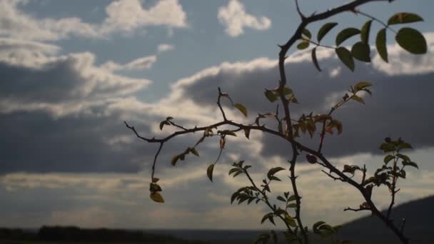 Τοπία Του Φθινοπώρου Καρπάθια — Αρχείο Βίντεο