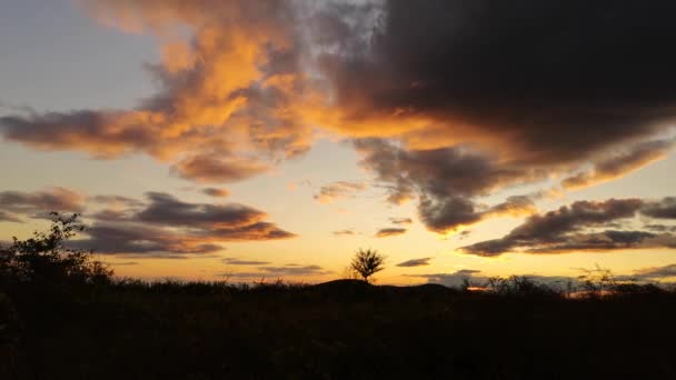 Landschappen Van Herfst Karpaten — Stockvideo