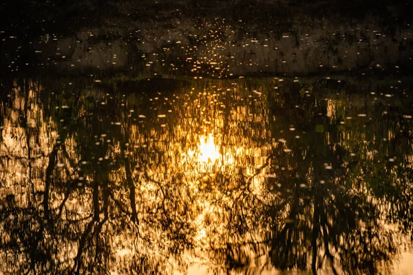 Вечер Горной Реки — стоковое фото