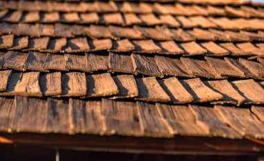 Ağaç dokusu denilen manzara