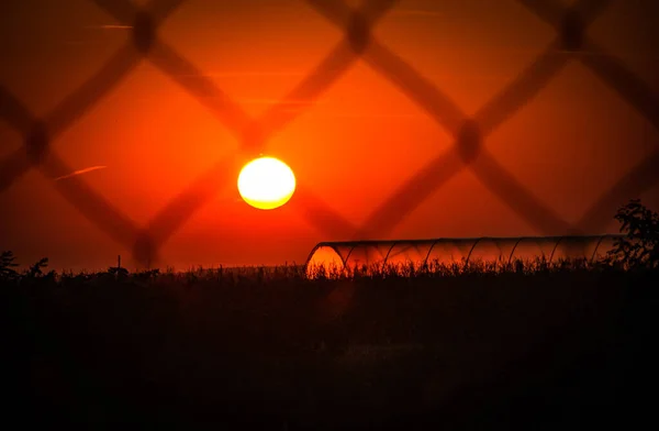 Landscape called Farm sunset