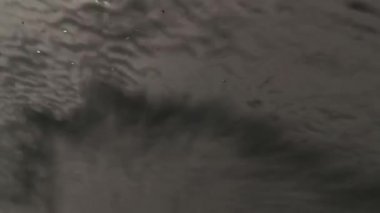 Araba yıkama iç görünüm