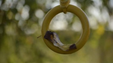 Çocuk salıncağında düşen yapraklar