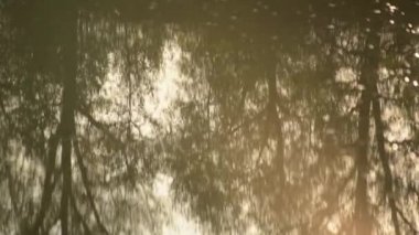 Dağ nehrinde akşam