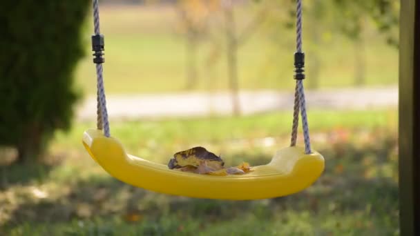 Herabfallendes Laub Auf Kinderschaukel — Stockvideo