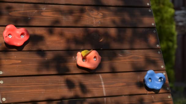 Children Climbing Wall — Stock Video