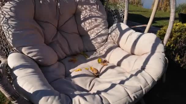 Fallen Leaves Swing Chair — Stock Video