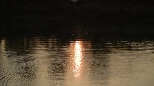 Dağ Nehrinde Akşam — Stok video