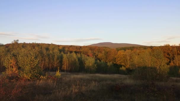 Φθινόπωρο Τοπίο Ένα Ορεινό Δάσος — Αρχείο Βίντεο