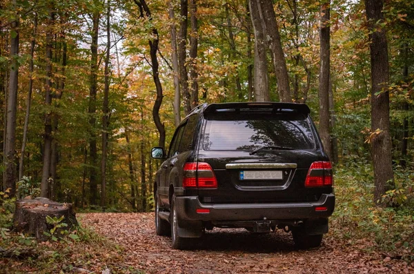 Suv Karpatlar seyahat