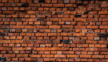 Arkaplan için dokusal doğal malzeme