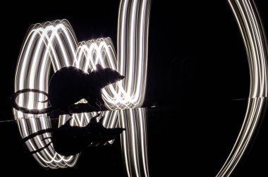 Bir farenin silüetiyle çizilmiş hafif bir çizim.