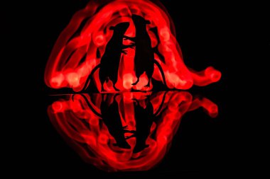 İki farenin silueti olan hafif çizim.