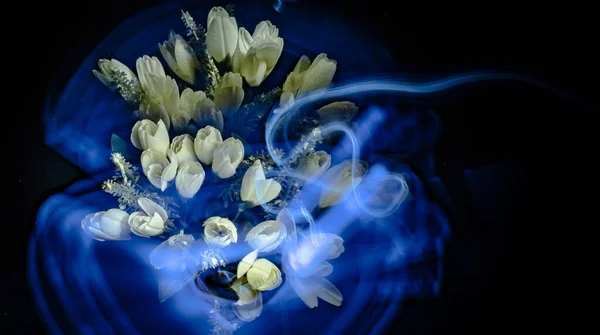 白い花の花束でライトドローイング — ストック写真