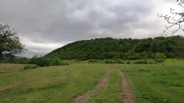 Suv Podróżuje Karpatach — Wideo stockowe