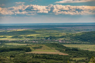 Yağmurda bir tarlada yeşil buğday