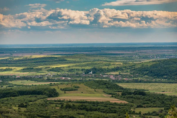 Grüner Weizen Auf Einem Feld Regen — Stockfoto