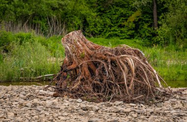 Manzaraya yaşlı rahip deniyor.