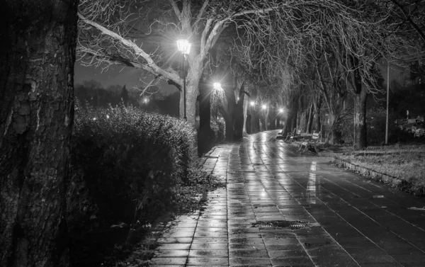 Пейзаж Называется Ночь Ужгорода — стоковое фото