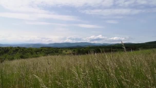 Landschaften Der Karpaten Sommer — Stockvideo