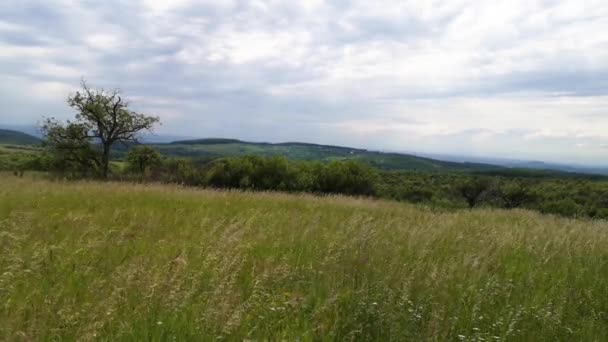 夏のカルパチア山脈の風景 — ストック動画