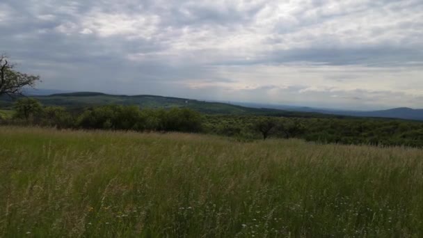 喀尔巴阡山脉夏季景观 — 图库视频影像