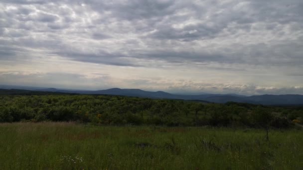 Paisajes Las Montañas Cárpatas Verano — Vídeos de Stock