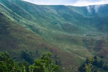 Beyaz gözcü denilen manzara 