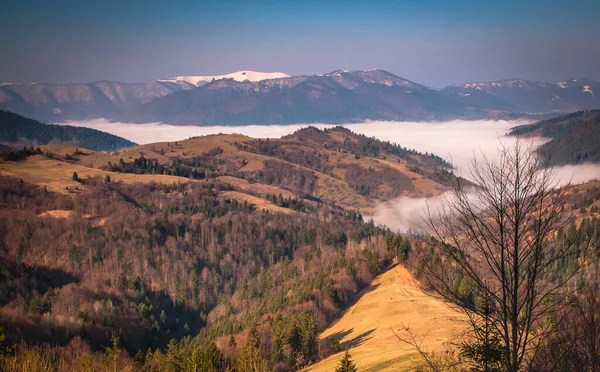 Paisaje Llamado Paso Sinevir — Foto de Stock