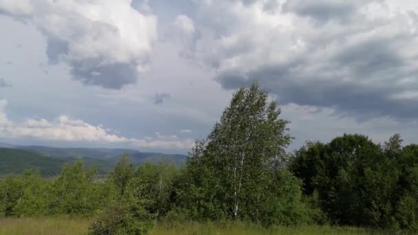 Paisajes Las Montañas Cárpatas Verano — Vídeos de Stock