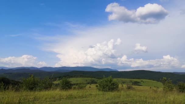 夏のカルパチア山脈の風景 — ストック動画